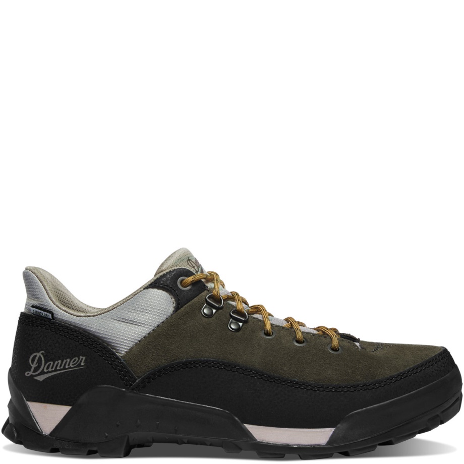 Danner Panorama Low 4 Black Olive