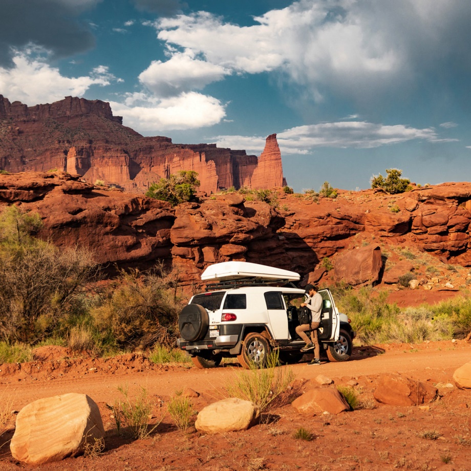 Danner Trail 2650 GTX Black Olive/Flax Yellow