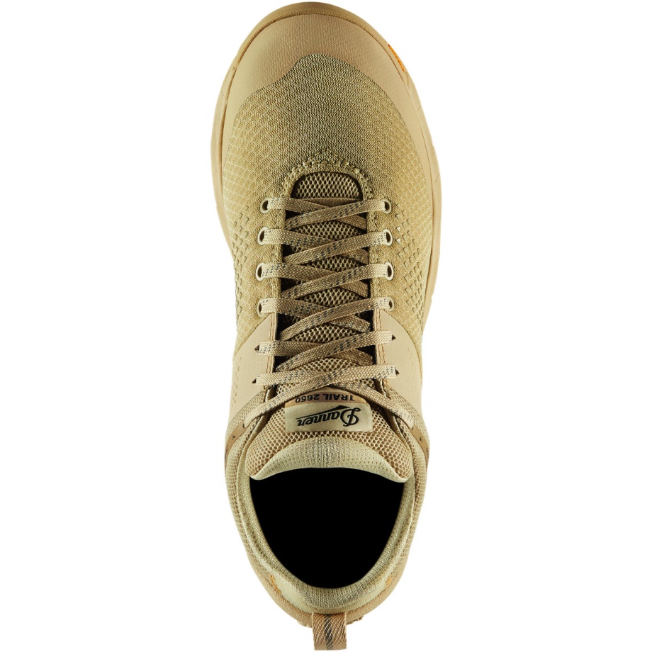 Danner Trail 2650 Mesh GTX Mojave Desert