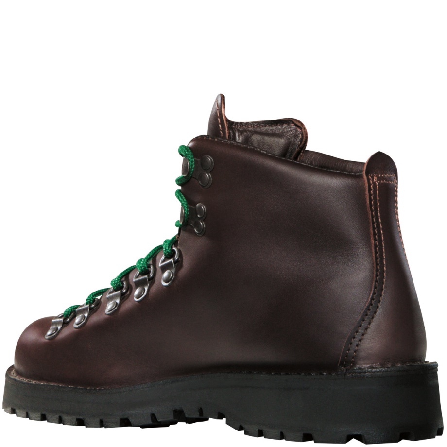 Danner Women's Mountain Light II Brown-GORE-TEX
