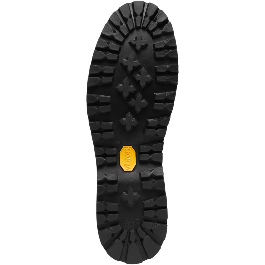 Danner Women's Mountain Light OR State Parks Centennial