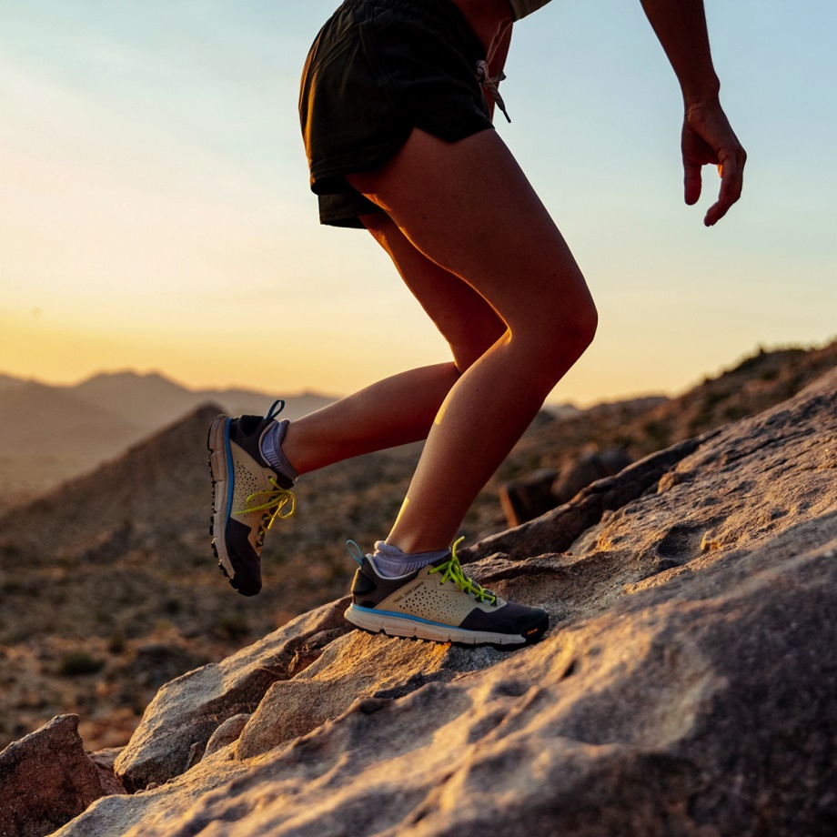 Danner Women's Trail 2650 Campo Taupe