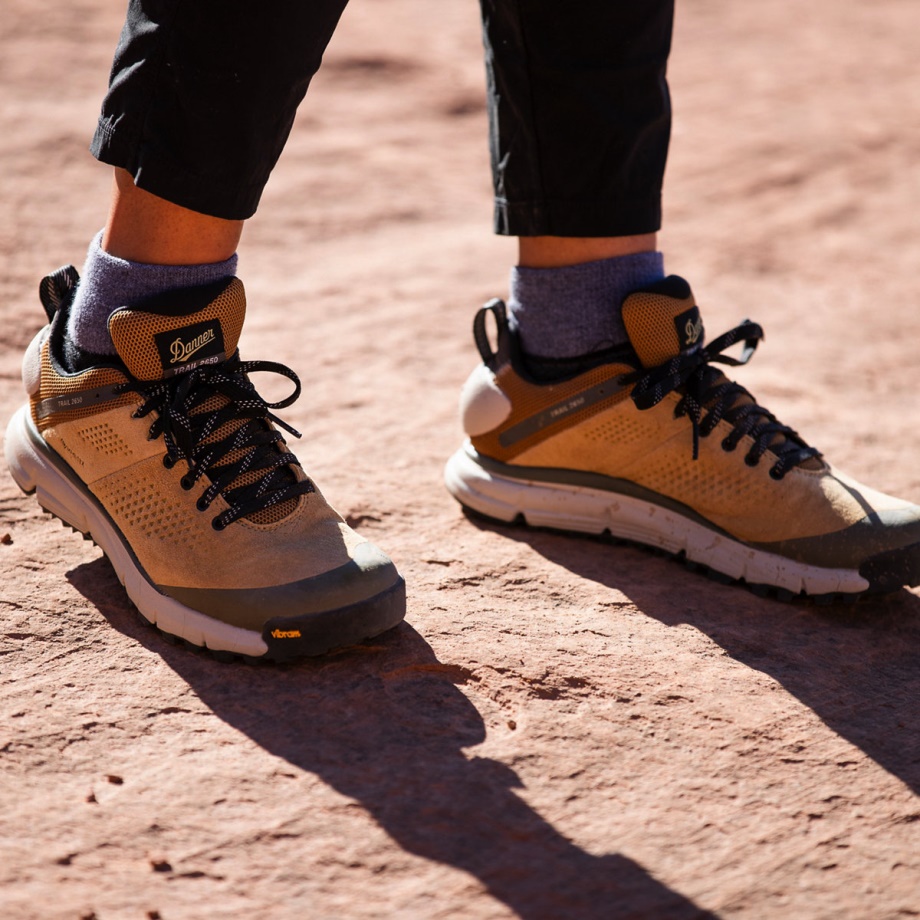 Danner Women's Trail 2650 GTX Prairie Sand/Gray