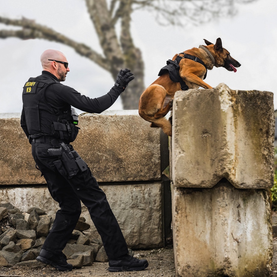 Striker Bolt 4.5 Black Danner