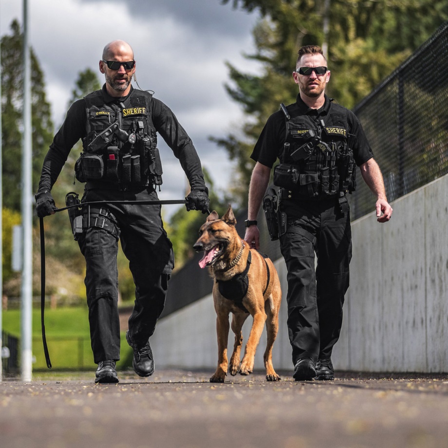 Striker Bolt 4.5 Black Danner