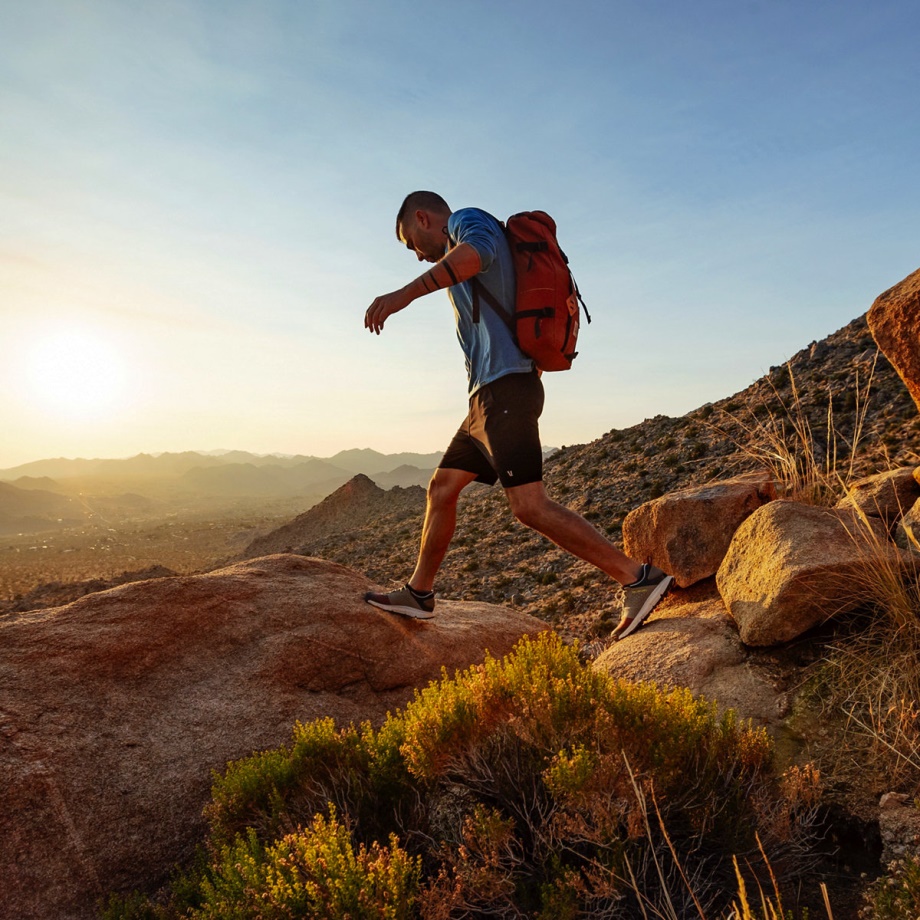 Trail 2650 Campo Brick/Tan/Blue Danner