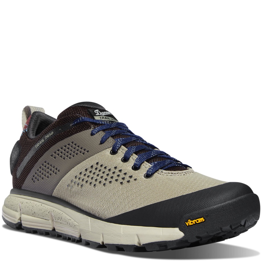 Trail 2650 Mesh Silver Sage/Storm Blue Danner