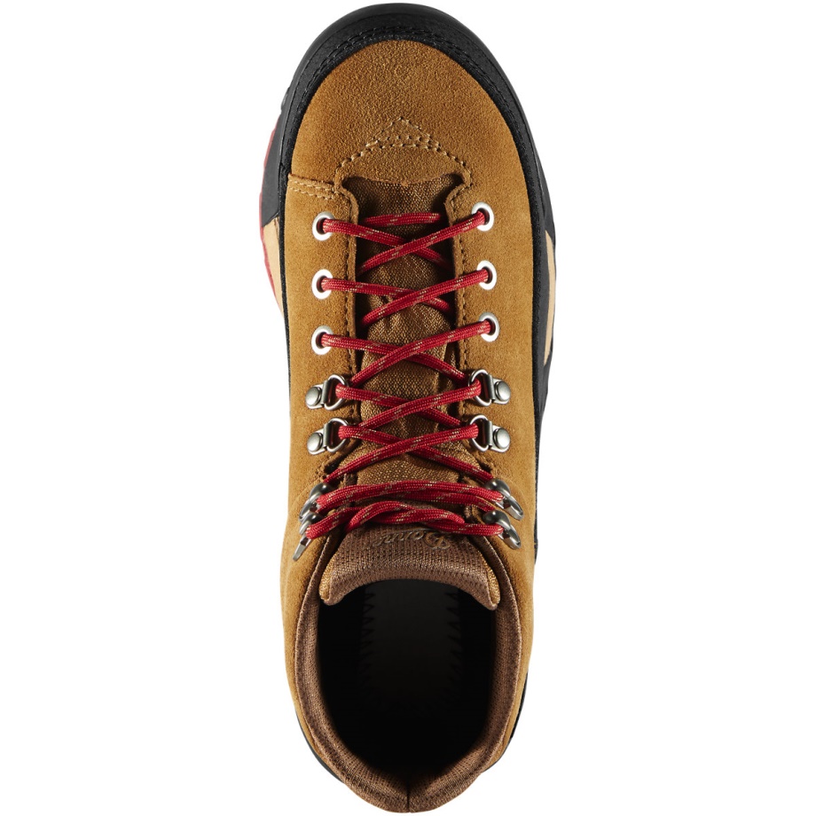 Women's Panorama 6 Brown/Red Danner