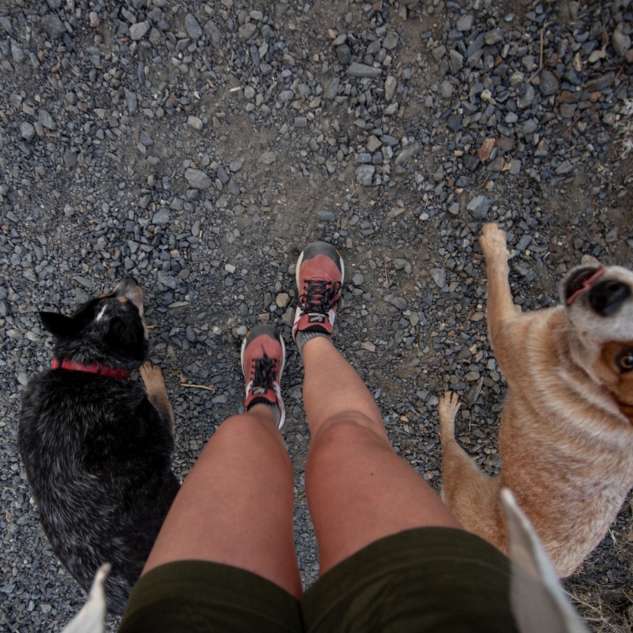 Women's Trail 2650 Hot Sauce Danner